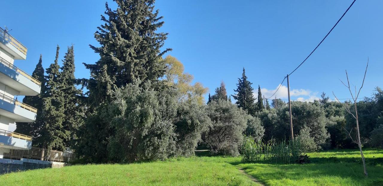 Όμορφο Studio Στην Πόλη Πάτρα Eksteriør billede
